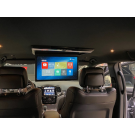 Потолочный монитор Skoda Karoq